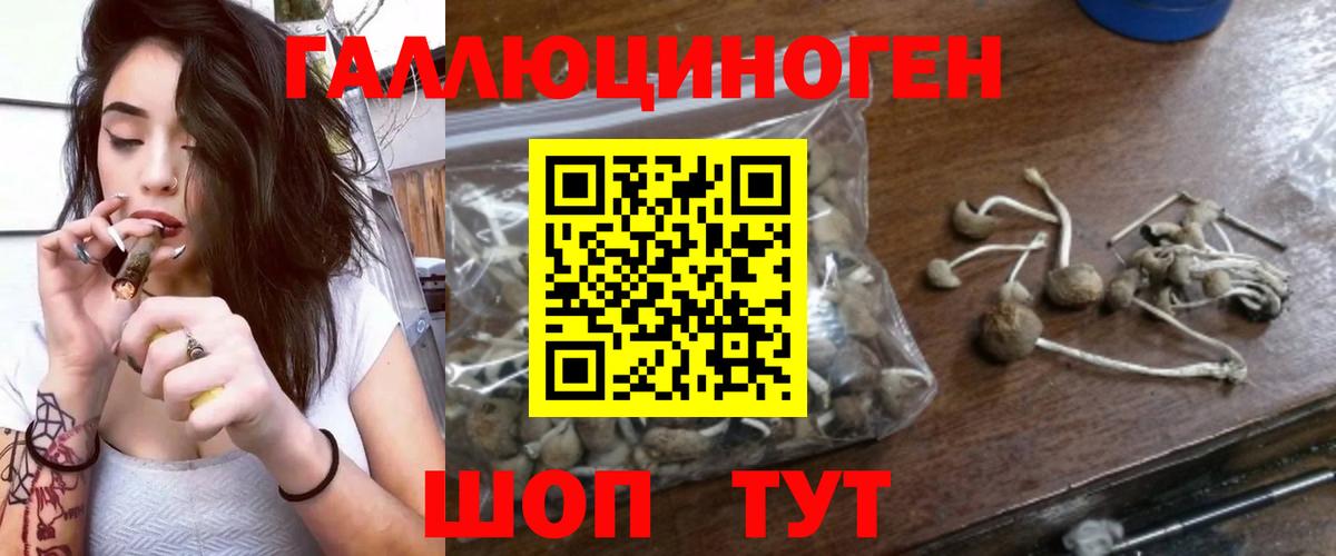 Псилоцибиновые грибы мухоморы Химки